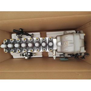 Cheap High pressure fuel pump type P9 with speed controllertype RSUV for engine 617023000700(B610500) for sale