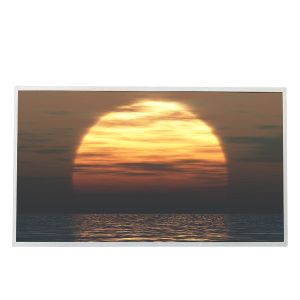 Cheap N173HGE-E11 17.3 inch LED LCD Screen Laptop Display Panel EDP 30 Pin for sale