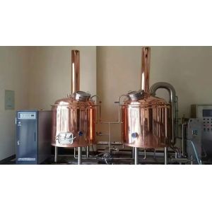 China 500L 2 Vessel Craft Beer Brewing Equipment Turnkey Microbrewery Systems on sale