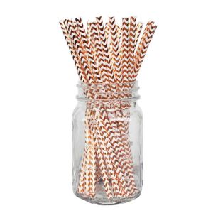 Striped Dot Drinking Compostable Rose Gold Paper Straws