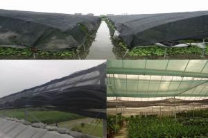 Cheap 50% Shade Ratio PE Shade Net Agriculture Greenhouse Shading Net 4m for sale