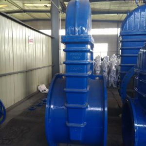 Resilent seated rising stem gate valve