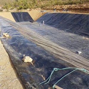 GB/ASTM GRI-GM13 Standard HDPE Geomembrane 0.75mm 1mm 1.5mm for Landfill Liner