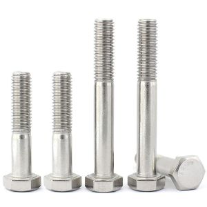 NPT Thread Type Stainless Steel Screws Grade 8.8 for Heavy-Duty and Industrial