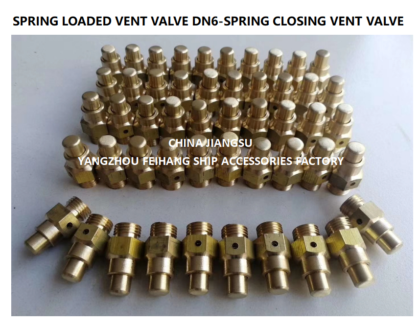 DN6 Brass Spring Loaded Vent Valve with Threaded Ends Compliant to CB/T3778-1999