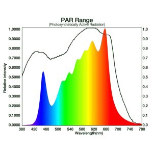 ETL SAMSUNG LM301H Quantum Board