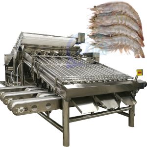Automatic shrimp sorting machine for shrimp peeling fresh prawn washing rolling