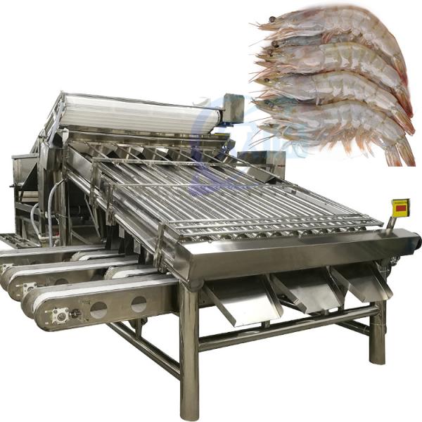 Automatic shrimp sorting machine for shrimp peeling fresh prawn washing rolling