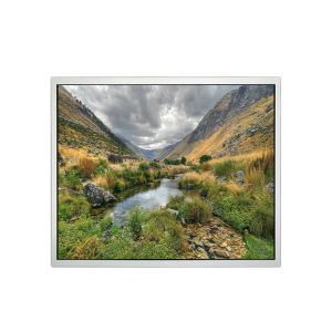 Cheap 17 inch 1280*1024 DV170E0M-N30 60Hz 500 cd/m2 LCD Screen Display for sale