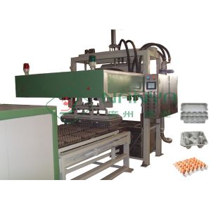 China CE Hot Air Dry Automatic Paper Pulp Egg Carton Machine with 1 Layer Dryer on sale