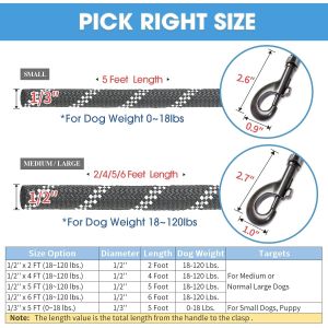 Dog Leash with Comfortable Padded Handle and Highly Reflective Threads for Small