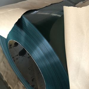 RAL Color Prepainted Galvanized Steel Coil PPGI / PPGL / HDGL / HDGI Roll