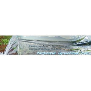 Perforated silver black mulch film for crop production,vegetable garden black /