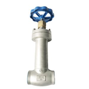 Low Temperature Insulation Globe Valve Cryogenic Valve CJ61F DN10 - DN250