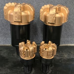 Alloy Steel PDC Drill Bits for Gas and Water Well Drilling with Polymerization