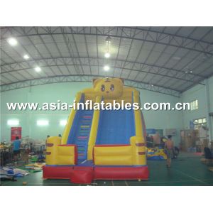 Customized Party Rental Slide In Tiger Desisn For Kids