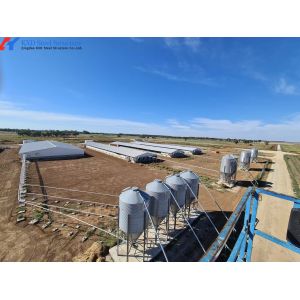 Fast Build Steel Structure Hog House / Hog Shed Customized