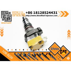China Cat Engine Parts 3126 Cat Injectors 198-4752 1OR-9239 174-7526 232-1168 232-1170 173-9268 for Caterpillar Cat 3126 Injector on sale