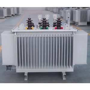 S11 Series Oil Immersed Power Transformer 6kv 10kv 11kv 15kv 30kv 33kv Three