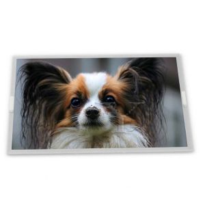 NV156FHM-N4K 15.6-inch 1920*1080 EDP LCD Display with LED Driver