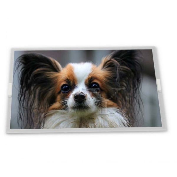 Online One-stop Shopping NL4864HC13-01A Lcd Panel 4.2 Inch 480*640 Lcd Display