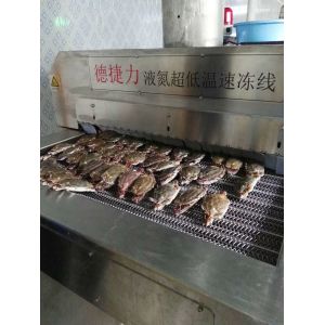 30 Kw Fast Freeze Chest Mesh Belt Tunnel Freezer 1500KG/H 2500KG/H