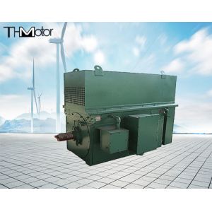 Y900 Y1000 Coal Mining Three Phase Asynchronous High Voltage Electric Motors