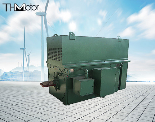 Y900 Y1000 Coal Mining Three Phase Asynchronous High Voltage Electric Motors