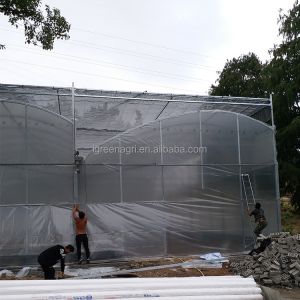 Single Layer Greenhouse Hydroponics System Wrought Iron Greenhouse With Film