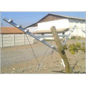 Open Grape Manor Vineyard Trellis Systems Reduced Installation And Setup Costs