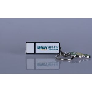 LOGO Custom Metal USB Memory Stick 1G 2G 4G 8G / Keychain Flash Drive