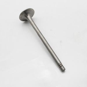 6610-41-4110 6610-41-4210 Diesel Engine Valve NH220 Intake Exhaust Valve For