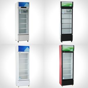 Single-Temperature Vertical 1-Door Showcase Commercial Refrigeration Beverage