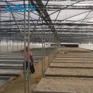 Roof Window Multi Tunnel Greenhouse With Zinc Coating 275gsm And Tunnel Width 8m