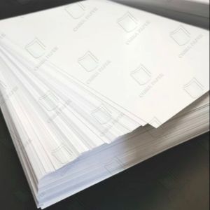 China 250gsm One Side Coated FBB white cardboard 690mm*820mm in sheet or roll on sale