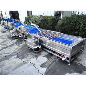 Cheap Fruit And Vegetable Washing Machine with Feathers and 220V Voltage for sale