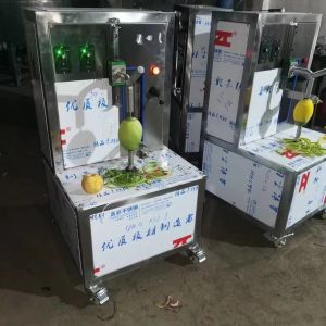 MOQ 1 Set Good Quality Mango Stoning Machine Mango Peel Removing Machine Mango