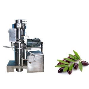 Single Phase Cold Press Oil Extraction Machine Oil Processing Machinery