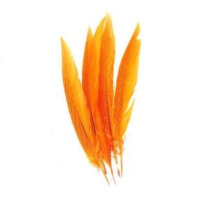 Shipping Worldwide Silver Pheasant Feather for Carnival Costumes and Party