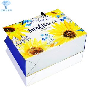 Wholesale Custom Environmentally Recyclable Printed Shopping Gift Bags With