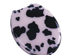 Quality poly-resin toilet seat cover,decor toilet seat,tranparent toilet seat,PP,MDF,WOOD,DUROPLAS wholesale