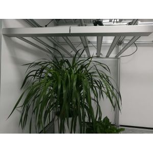 Large Coverage ETL 680W Horticulture LED Grow Lights