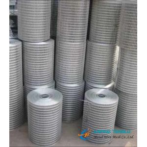 Electric Galvanized Welded Wire Mesh, Bright Color and Smooth Surface