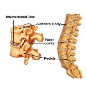 Reliable Cervical Decompression Machine Non Linear Logarithmic Curve