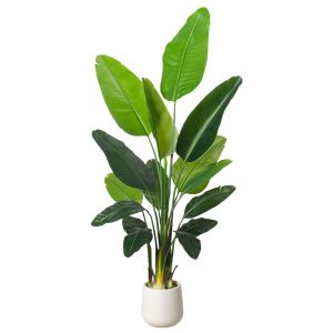 Artificial Bird of Paradise Plant 6.8FT - Luxury Faux Palm Tree in White Planter