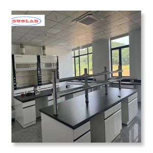 China Customizable and easy installation lab wall benches for enhanced usability on sale