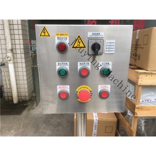 Electric Frozen Meat Dicer Machine / Ribs Cutting Machine Easy To Clean