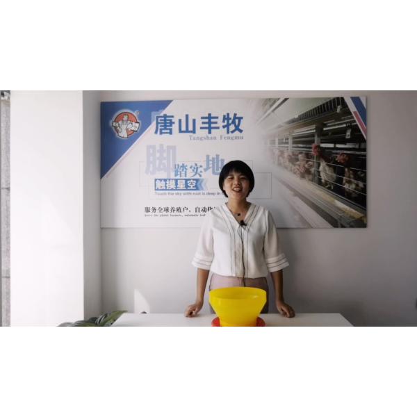 Plastic Poultry Controlled Chicken Feeder Equipment For Broiler With 16 Grids