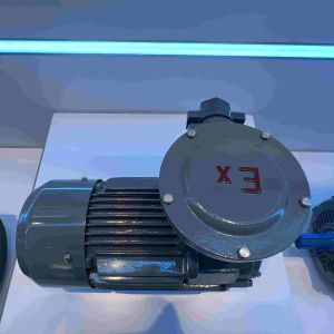 High Efficiency Three Phase Low Voltage Electric Motor For Vapor Area