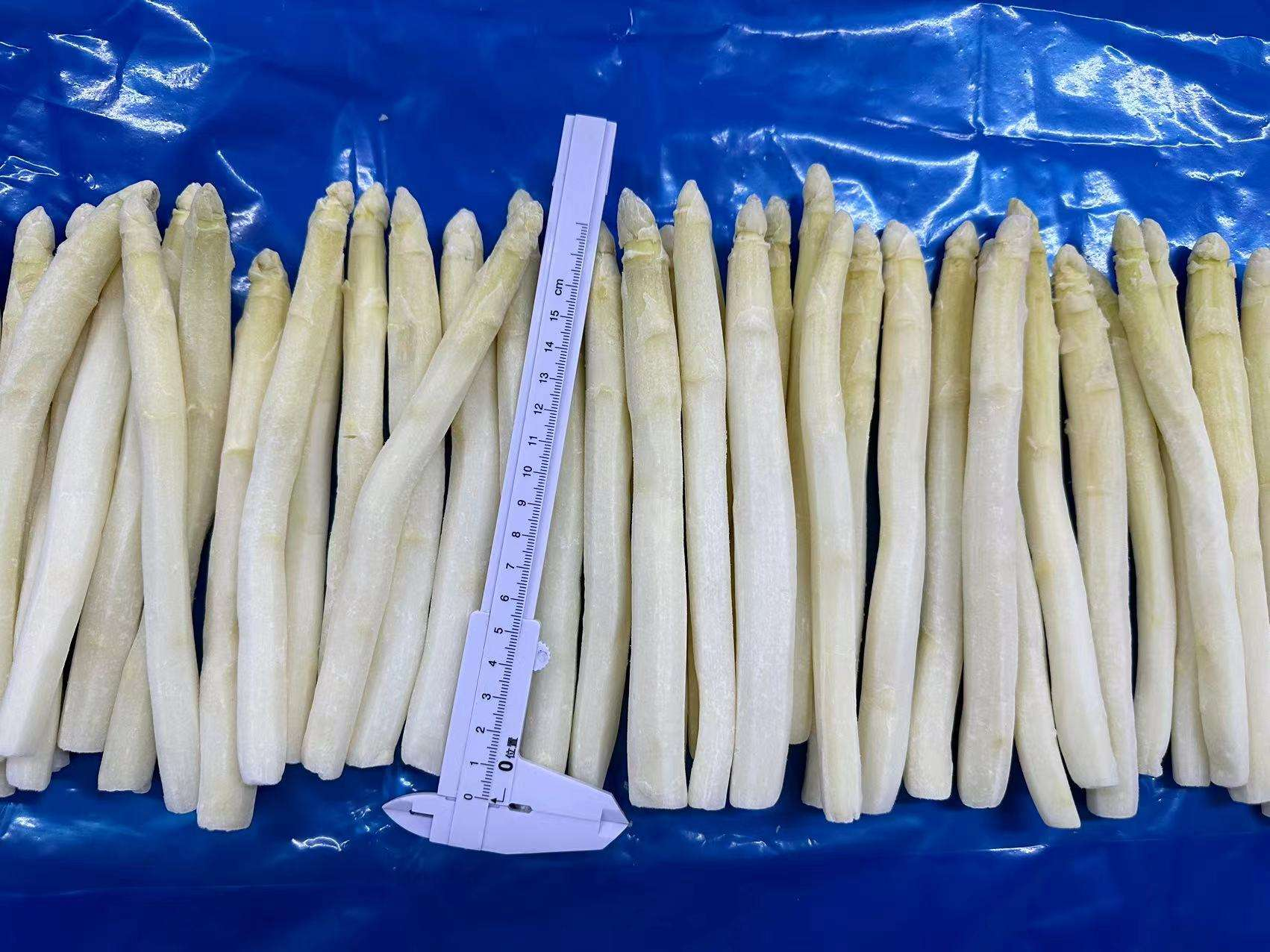 Wholesale IQF Vegetable IQF Frozen White Asparagus Spear From China